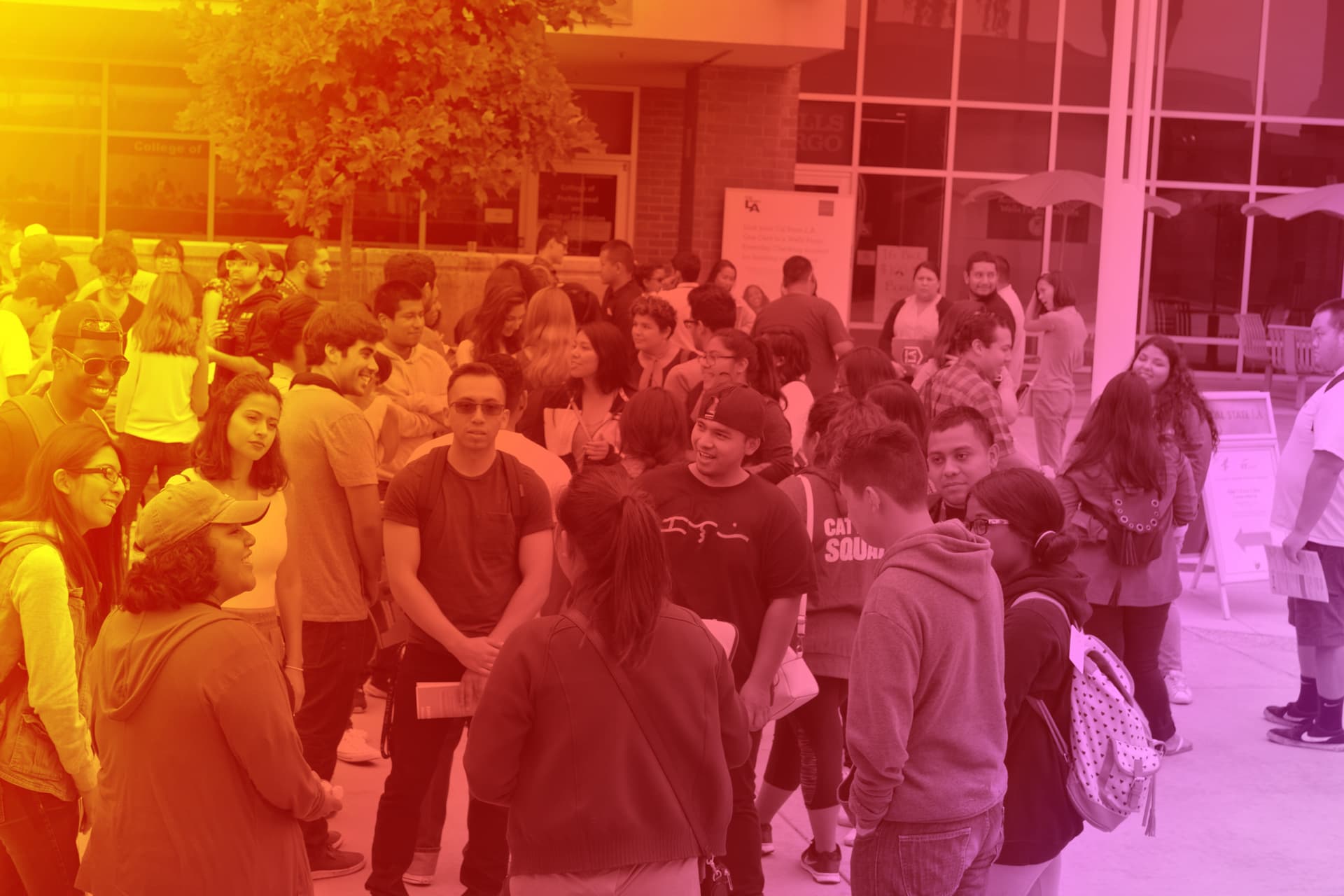 Students voting